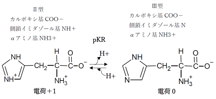 ヒスチジン pHの変化と解離,化学種の存在比(割合),荷電,等電点